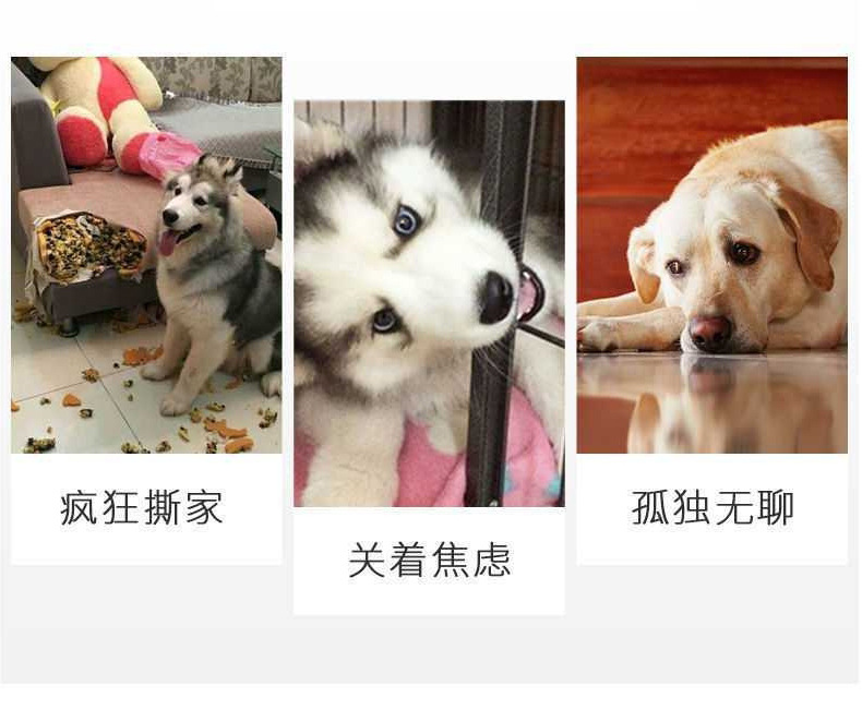 详情页_04.jpg