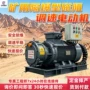 转矩磁阻矿用启动电机