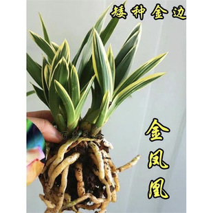 ��߅���N�m�� ���P�� �����ͽ��mˇ�� ���˺��B�ߙn�҃ȾGֲ ����