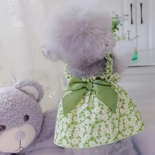���ﹷ���·������bС��ȮС�r�ռ玧ȹ����ȹ�����·�؈����Ůȹ