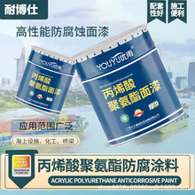 丙烯酸聚氨酯面漆 室内外钢结构金属防腐涂料 双组份材料