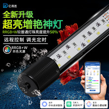 �ڵ�ʤ���ܵ����ɫ��׵Ʒ�ˮ����LED�ƽ����׼�APP������ɫ�ܵ�