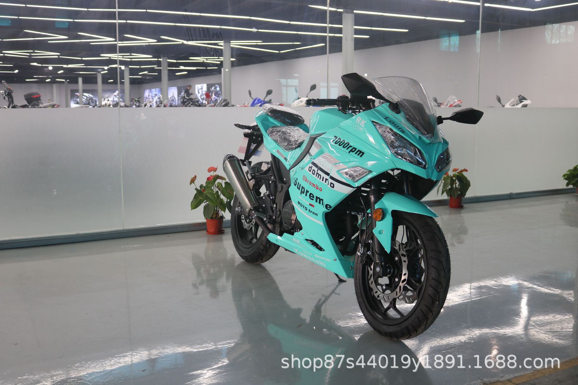 License-able motorcycle Kawasaki Ninja, twin-cylinder racing replica, Horizon sportbike, adult gasoline-powered sportbike, complete vehicle