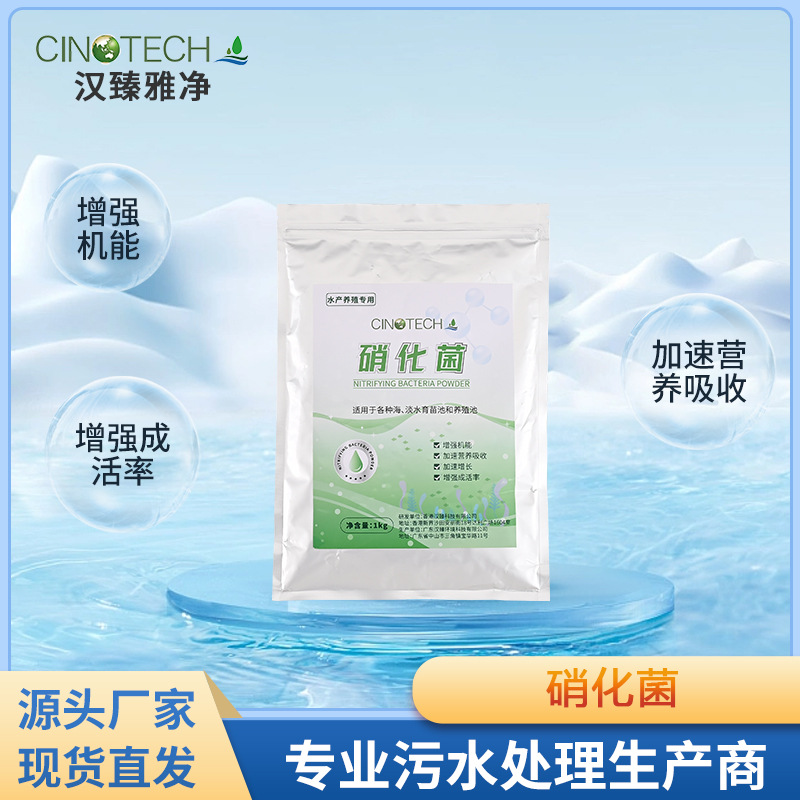批发硝化细菌水产养殖生物降氨氮亚硝酸盐分解粪便净化水质改善