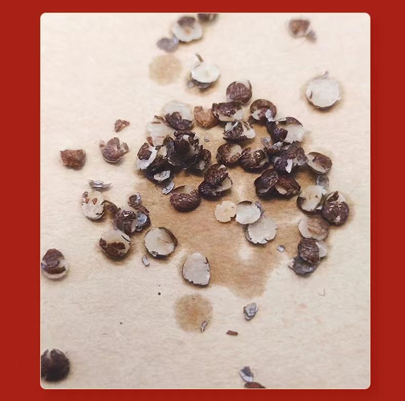 Perilla Seed Zi Su Zi 500g Dried Edible Herb for Tea Soup and Culinary Use key features