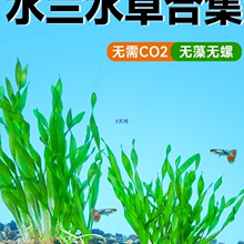 ˮ�mˮ�ݴ�Сˮ�m���~�~�m���m�к�ˮ�²�����~��ˮ��ֲ��