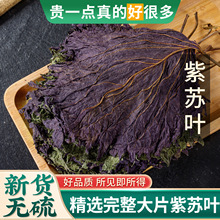 野生紫苏叶500g天然苏子叶干泡茶烧鱼虾蟹去腥香料泡茶中药材正品