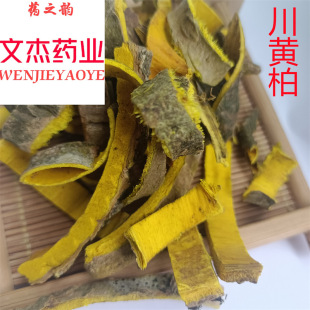 �S�� ���S�� �F؛���l �����Ĕz ���Ă�ș�I�������S�ء���؛