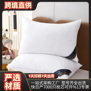 �Ƶ�С���õ�һ�L��ϣ���D������Ƥ�p�����^ͯ���o�i���Ǽ����^о