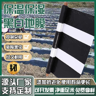 Agricultural black and white mulch factory wholesale silver black double color reflective film vegetable thickened planting plastic film