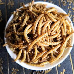 �S���x ����x500g���x��؛��ʳ������x�nω������x��؛