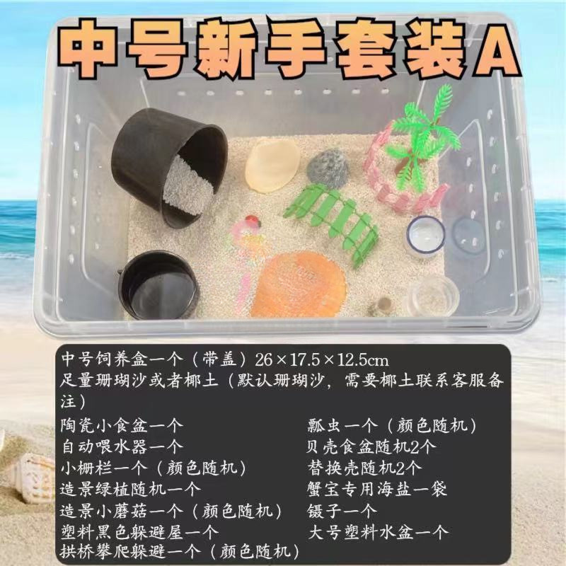 寄居蟹专用饲养爬宠饲养盒昆虫观察盒新手套装饲养缸寄居蟹套餐|undefined