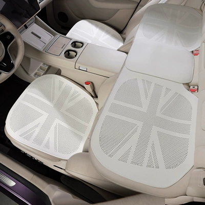 Thin Nappa Leather Breathable – Seat cushion, seat cover - songshi-rice-front-and-rear-seat-cushion-3-piece-set