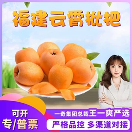 瓜果类;苹果;其他水果