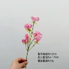Small single pea flower [pink]