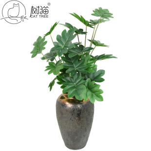 �߷���ϲ������~���ָ������~ˮ��ֲ��͏d�bGֲ���ԏS�����l