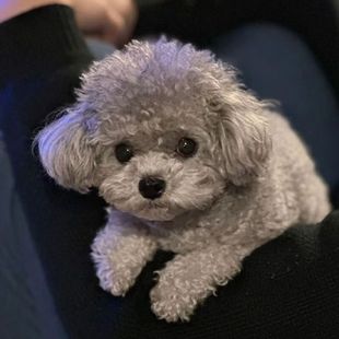 ���l�F�eȮ�豭Ȯ�㙉ɫС��̩����Ȯ���w���ﹷ�����pȮ�o�lȮ