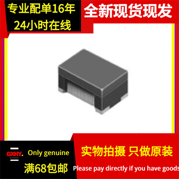 现货有货 DLW43SH101XP2L 共模扼流圈滤波器 4532 100R 50V 170MA