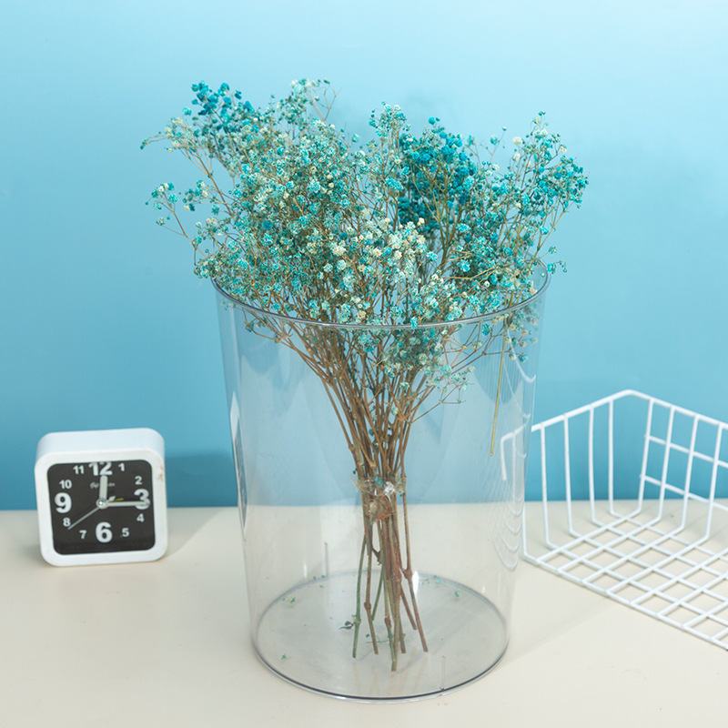 厂家大容量透明水桶 简约PP吹塑塑料储水桶 植物栽培圆形水桶批发