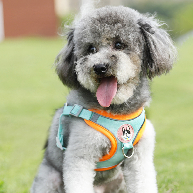 Fabricante en stock cuero Taobao gamuza ajustable reflectante pecho espalda tracción cuerda anti-rotura perro caminando cuerda