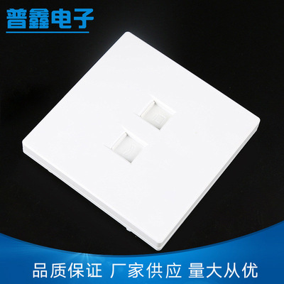 网络信息面板家用通话语音面板可定 制塑料双孔面板 电脑插座面板|ms