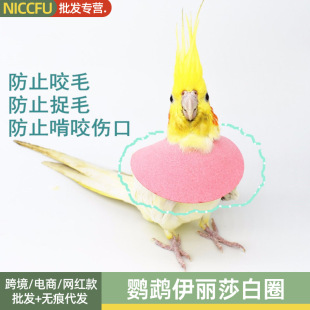 NC�W�^����ɯ��Ȧ��ҧë��ë�܂����o�Ȧ���������ҧ���ı��o��