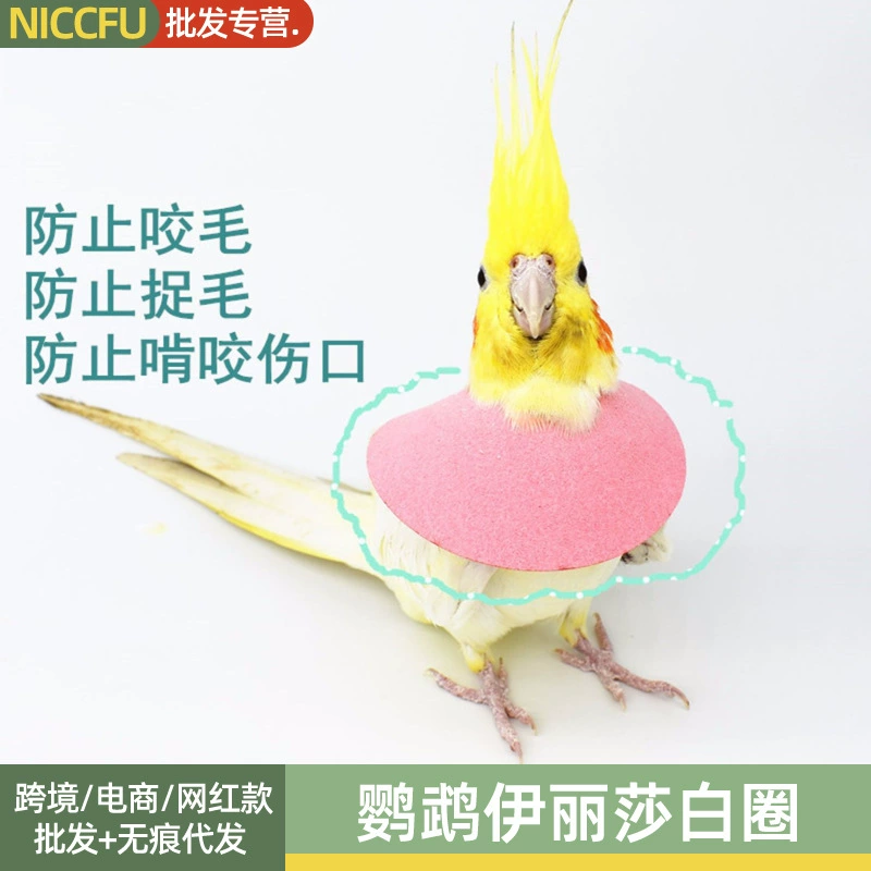 NC Parrot Elizabeth кольцо против укусов клевания волос защита от травм воротник шарф плащ против укусов защитный чехол против клевания