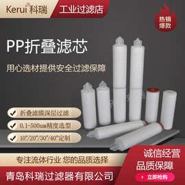 PP折叠滤芯生物制药精密过滤10寸20寸30寸40寸聚丙烯微孔膜滤芯