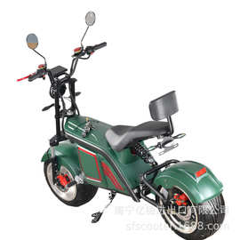 成人电动摩托车哈雷电瓶车2 Wheel electric scooter 电动自行车