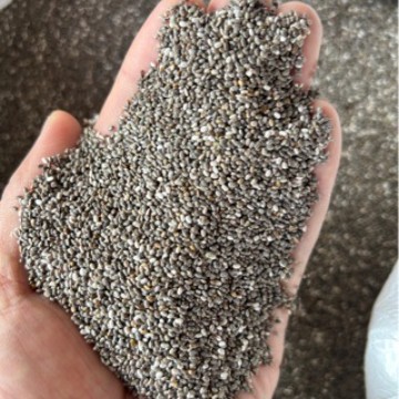 奇亚籽批发 干净少灰奇雅子25kg五谷杂粮奇亚子