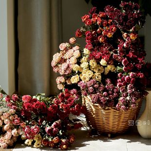 ���^õ��ɻ��������l��φ��^õ���Nޱ�����滨���z���ĸɻ����