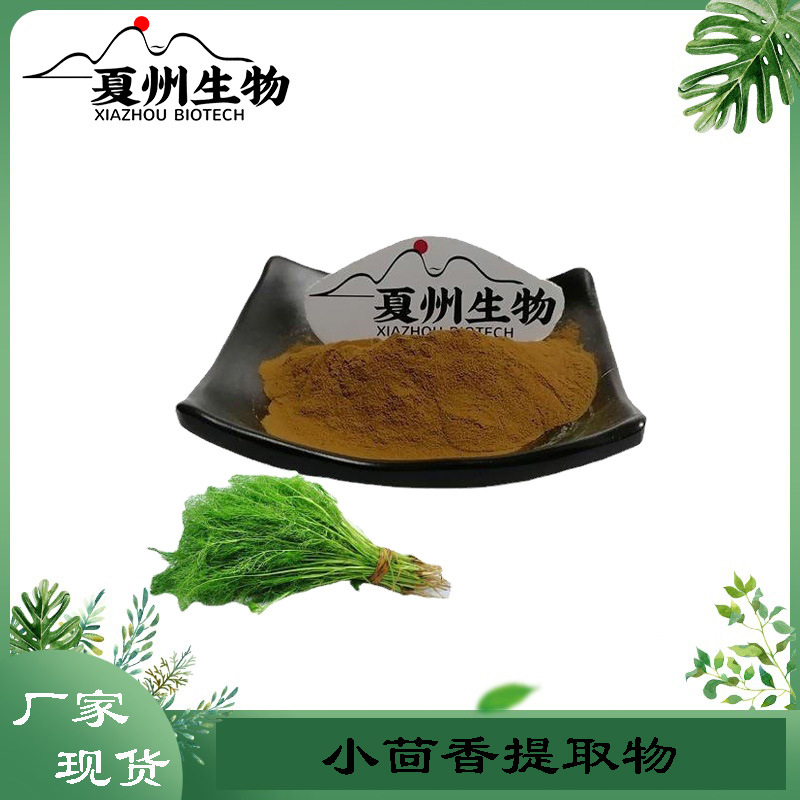 小茴香提取物 10/20/30/50:1  孜然萃取粉  夏州生物优质供应
