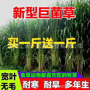 ���͸߮a�޾��ݷN�Ӷ������ļ���������ݻ���ݷN���Bֳ��������