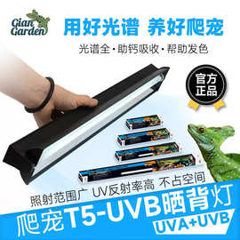 爬虫UVB灯T5灯管反光灯罩套装爬宠灯10.0灯陆龟鬃狮蜥蜴多肉
