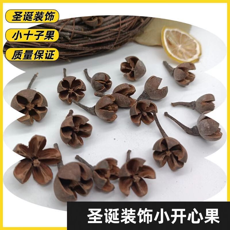 Natural Dried Flowers, Dried Fruits, Cross Fruit Head, Christmas Wreath Making Accessories, Forest Jewelry, Creative DIY Crafts