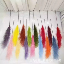 �����JȔ�����ɫ����ë��c�쾰��䁲����b������С�t������