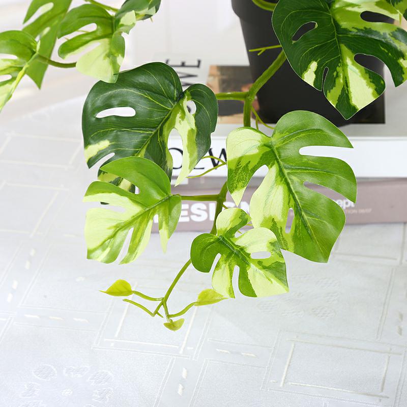 IMG_8755_好压看图