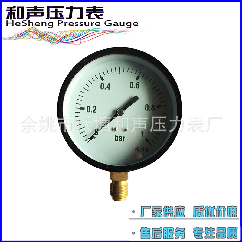 ���ҹ�Ӧ��ͨѹ����Y80����10KG�����ѹ������ձ���ѹ��