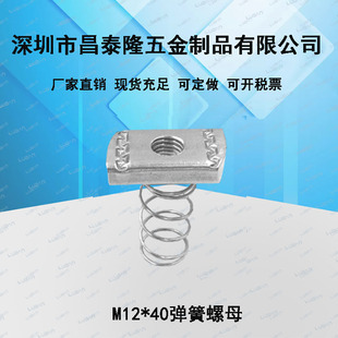 ����֧�����������\������ĸC������ T���L������ĸ Ҏ���Rȫ