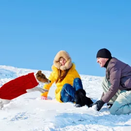 成人帽;宠物围巾;狗狗服装