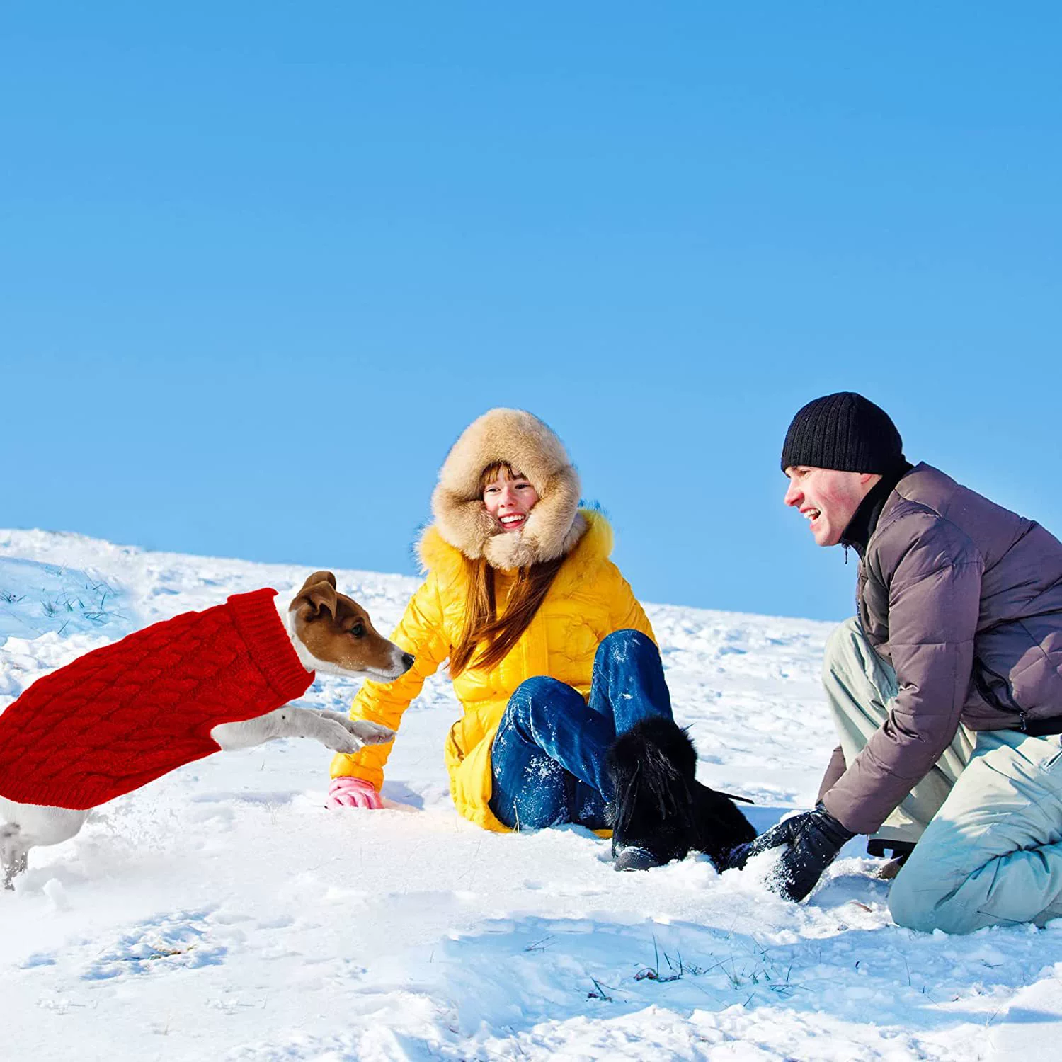 Производители в наличии новая осенне-зимняя одежда для домашних животных Одежда для домашних животных трансграничная теплая одежда для отдыха за границей