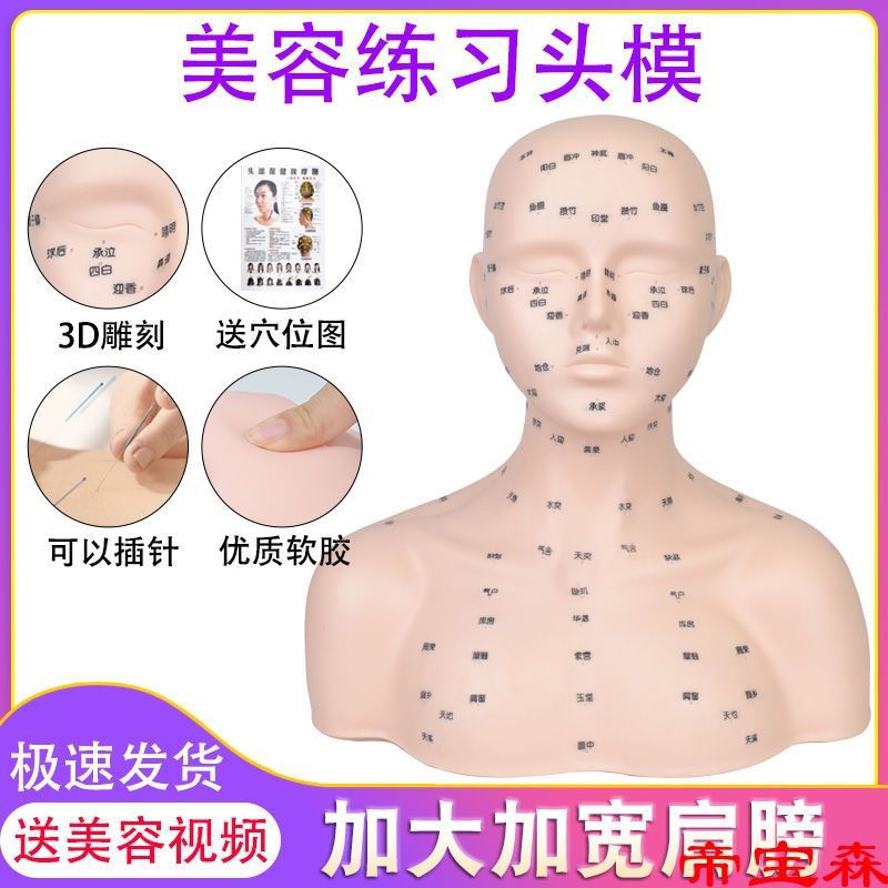 skin Administration model Beauty study Face acupoint massage Technique Bald Model Shoulder