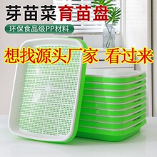 ����Pѿ��P���̨�N����ˮ���߲˶�ѿ�o��С������Nֲ�P������