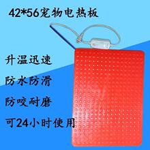 ����늟���ҧС����ȡů���ذ�F�Ða�ؼӟ�|������