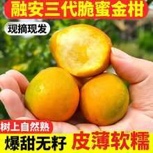 ����ڰ���Ƥ��ۮ������rˮ�����ۻ�Ƥ������Ӽ���5������ֱ��