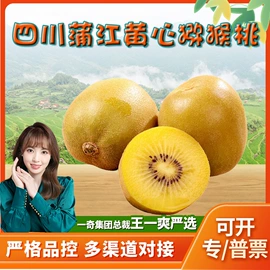 代用/养生茶;苹果;橙