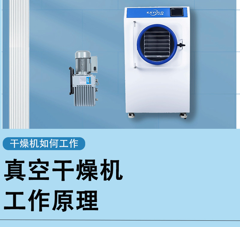 最终hl-2 (2).jpg