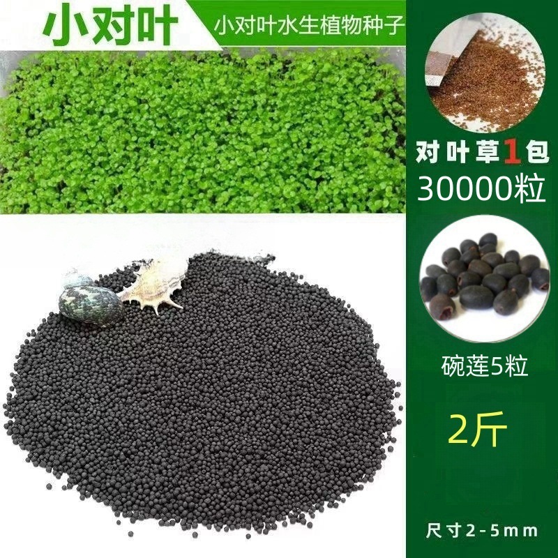 [핫세일] 워터그래스머드 1.0kg - 작은잎 30,000개 + 그릇연꽃 5개 무료