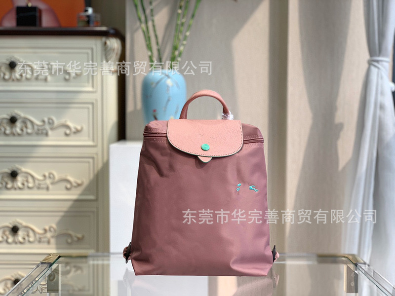 莞产跨境骧家双肩包轻便休闲旅行防水背包女式手提书包2025新款|undefined