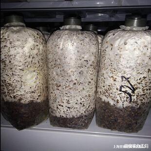 �����NĢ�������N�N����ʳ�þ����乽���N�`֥����ƽ�������N����